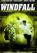 Windfall poster image
