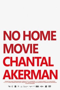 Poster for No Home Movie