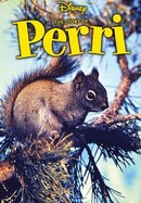 Perri poster image