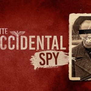The Accidental Spy by J.R. Lindermuth