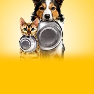Pet fooled not on netflix discount