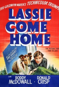 Lassie Come Home - Movie - Where To Watch