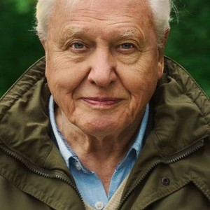 David Attenborough: A Life on Our Planet (2020) photo 2