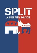 Split: A Deeper Divide poster image