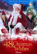 48 Christmas Wishes poster image
