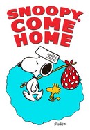 Snoopy, Come Home poster image
