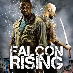 Falcon Rising photo 13