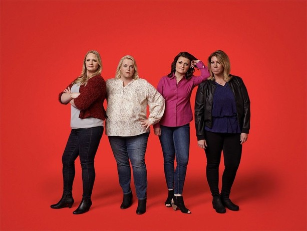 Watch sister wives season 15 online free online