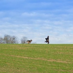 Shepherd: The Story of a Jewish Dog photo 16