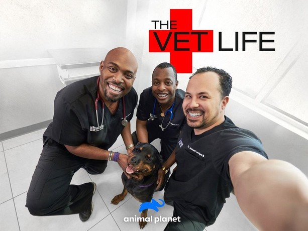 The vet life sale full episodes free online
