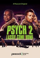 Psych 2: Lassie Come Home poster image