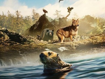 Canidae sea shop