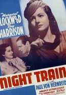 Night Train to Munich poster image