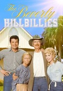 The Beverly Hillbillies poster image