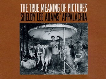 Amazon.com: The True Meaning of Pictures: Shelby Lee Adams