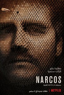 Narcos: Season 2 poster image