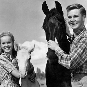 Green Grass of Wyoming (1948) photo 5