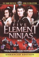 Five Element Ninjas poster image