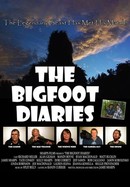 The Bigfoot Diaries poster image