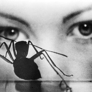 PHASE IV, Lynne Frederick, attacked by a plague of mutant ants, 1974.