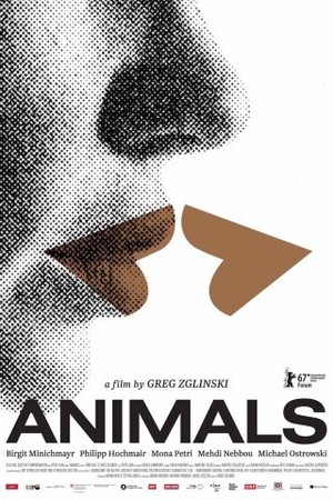 Animals poster