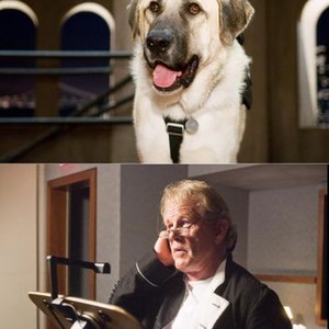 CATS & DOGS: THE REVENGE OF KITTY GALORE, Butch (voice: Nick Nolte), 2010. ph: Kimberly French/©Warner Bros. Pictures