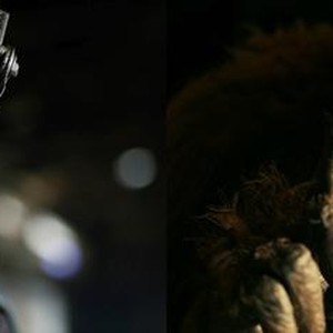 WAR FOR THE PLANET OF THE APES, KARIN KONOVAL AS MAURICE, 2017. TM AND COPYRIGHT ©20TH CENTURY FOX FILM CORP. ALL RIGHTS RESERVED
