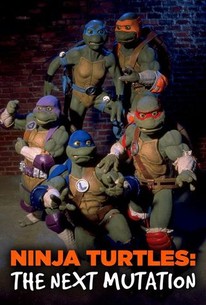 Teenage Mutant Ninja Turtles III - Rotten Tomatoes