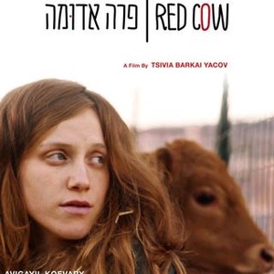 Red Cow - Rotten Tomatoes