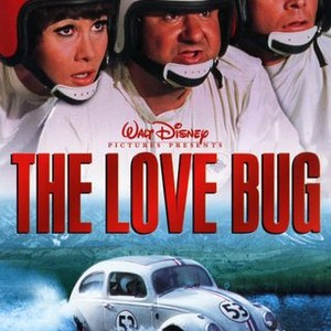 The Love Bug (1968) photo 7
