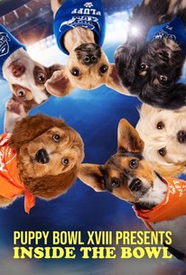 Puppy Bowl XVIII Presents: Inside the Bowl: Season 1, Episode 2 ...