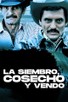 Poster for
