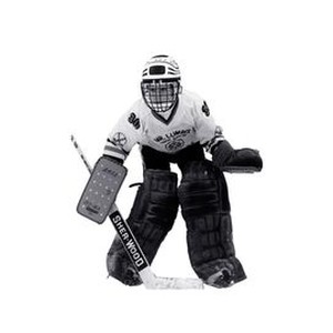 Hockey Night photo 4