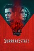 Poster for 