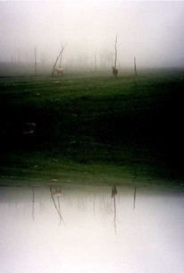 The 3 Rooms of Melancholia Rotten Tomatoes