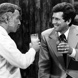 NASHVILLE, Henry Gibson, Michael Murphy, 1975