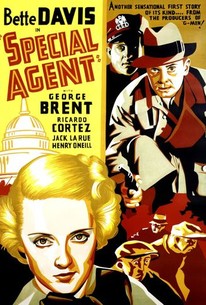 Special Agent | Rotten Tomatoes