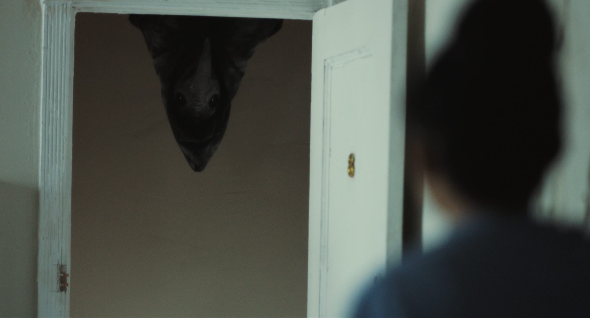 The Harbinger - Rotten Tomatoes