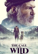 The Call of the Wild poster image