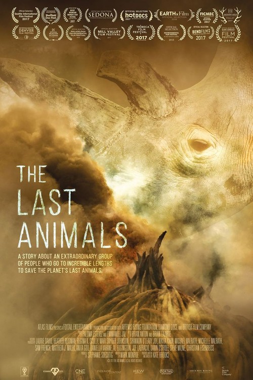 The Last Animals poster