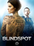 Blindspot: Season 1