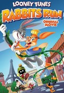 Looney Tunes: Rabbits Run poster image