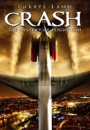 Crash: The Mystery of Flight 1501 poster image
