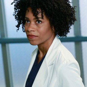 Kelly McCreary as Dr. Maggie Pierce