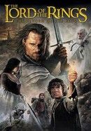 The Lord of the Rings: The Return of the King poster image