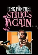The Pink Panther Strikes Again poster image