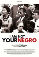 I Am Not Your Negro poster image