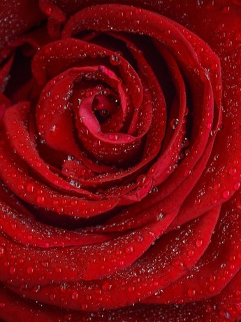 The bachelor season 12 clearance episode 1