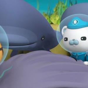 Octonauts  Rotten Tomatoes