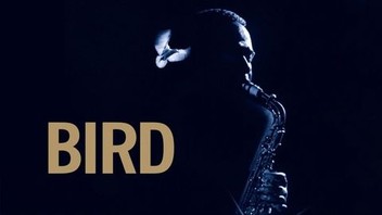 英語版　1976年発行　A closer Look at BIRDS 英語版 1976年発行 A closer Look at BIRDS 英語版 1976年発行 A